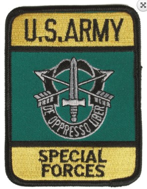 Patch US ARMY Special Forces Art. 16855100