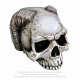 Craniu statueta V23  Angel of Hades - Skull (Poly Resin) (Colectia Alchemy Vault) - image 1