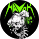Insigna 2,5 cm HAVOK Skull   (HBG) - image 1