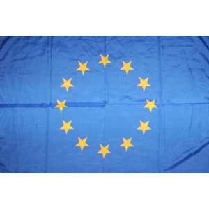 Steag UE - European Union