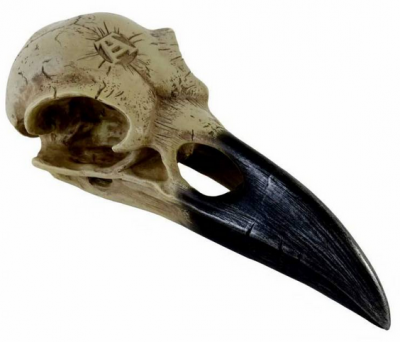 Craniu decoratiune V16 Corvus Alchemica (Colectia Alchemy Vault)
