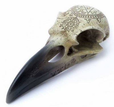 Craniu decoratiune V67 Omega Raven Skull (Colectia Alchemy Vault)
