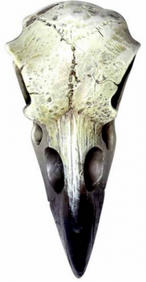 Medalion de rasina V66 Reliquary Raven Skull (Colectia Alchemy Vault)