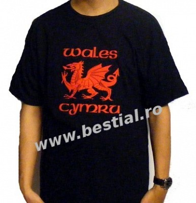 Tricou Wales Dragon (TR/CEL/15)