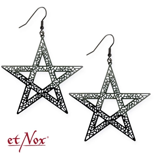 SO4013B Cercei de inox - Pentacle