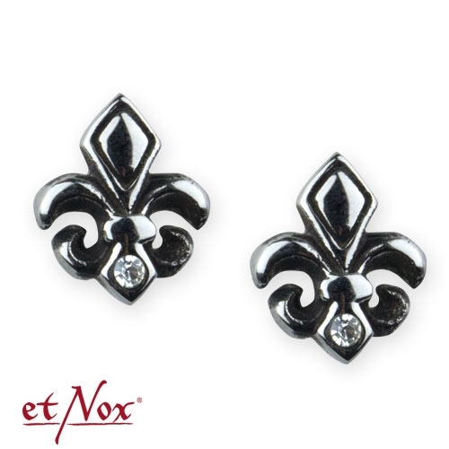 SO4021 Cercei de inox cu zirconiu - Lily