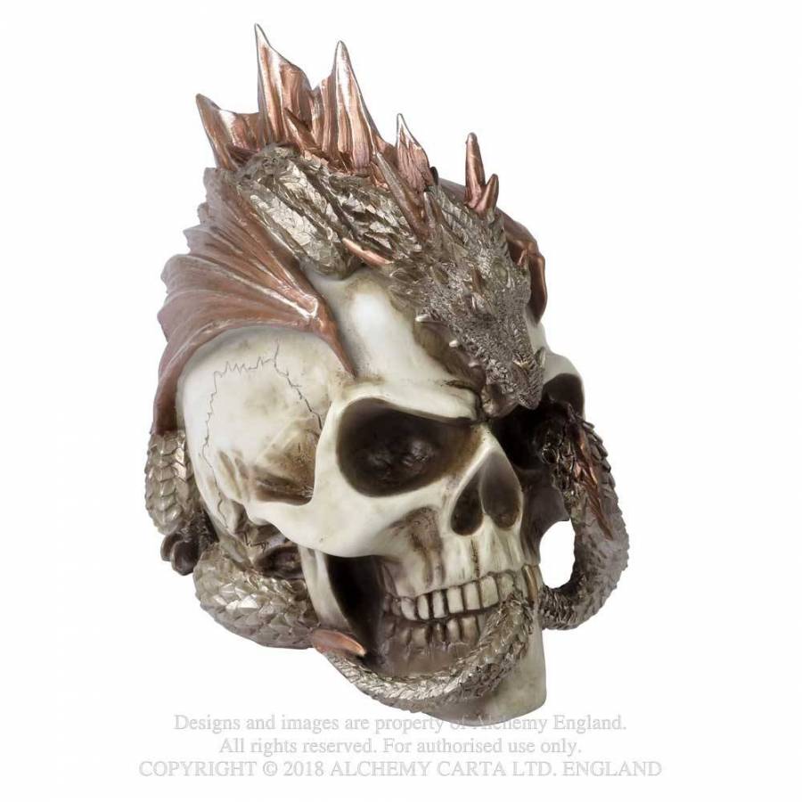 Craniu decoratiune V72 Dragon Keeper s Skull (Colectia Alchemy Vault)