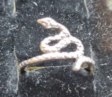 Inel De Aliaj Snake (JBG)