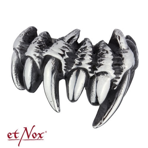 SR1326 Inel de inox - Fang