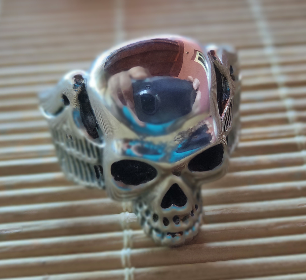 Inel De Inox Winged Skull BRU82