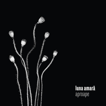 Luna amara Aproape