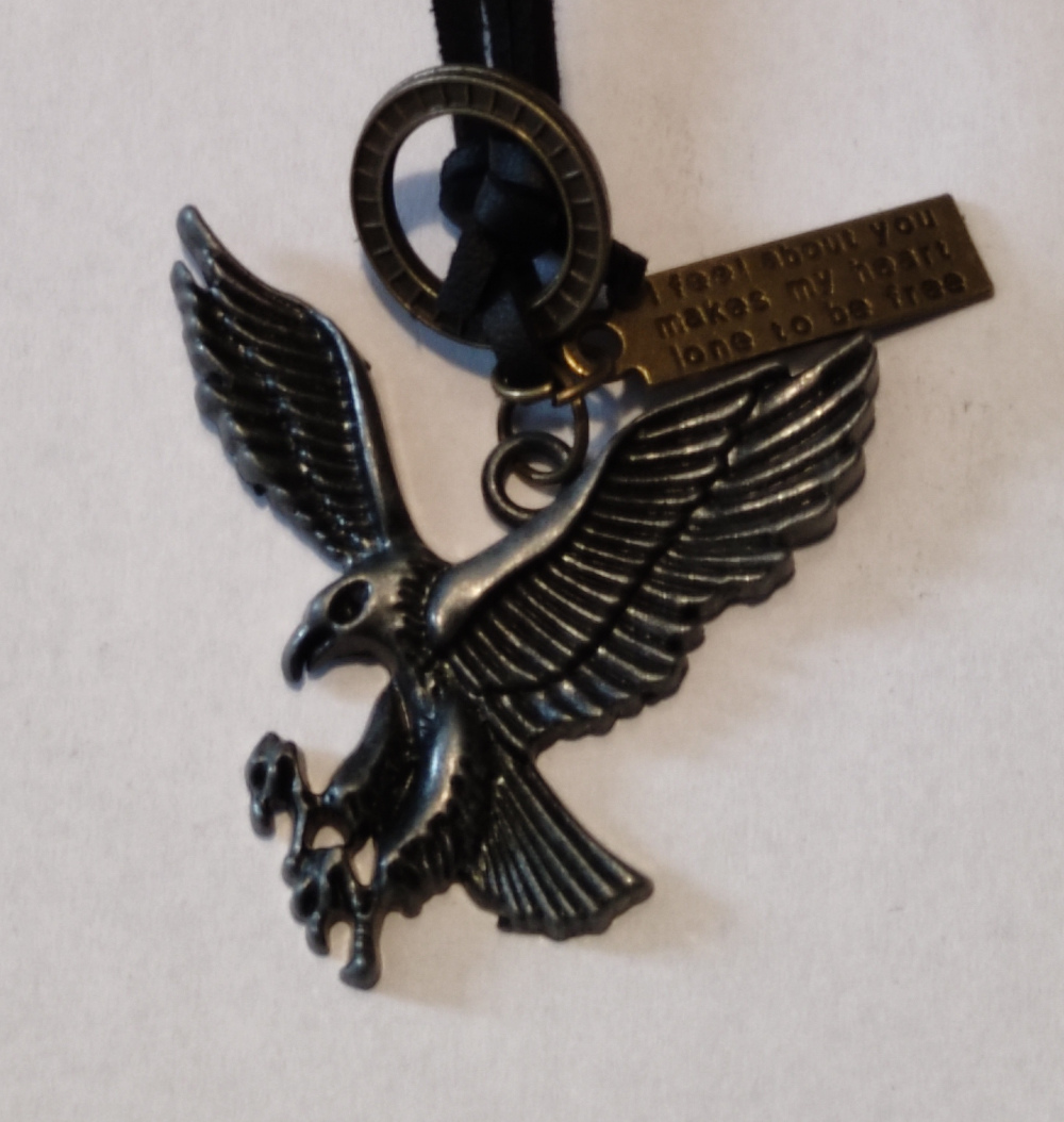 Medalion Native Art Gray Eagle