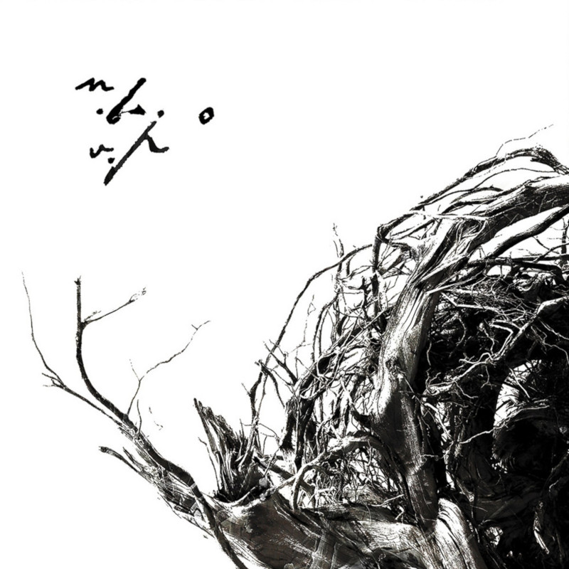 CD NEGURA BUNGET Varstele pamantului (digipak)