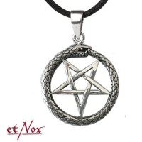 K1013 Pandantiv de argint Snake Pentagram