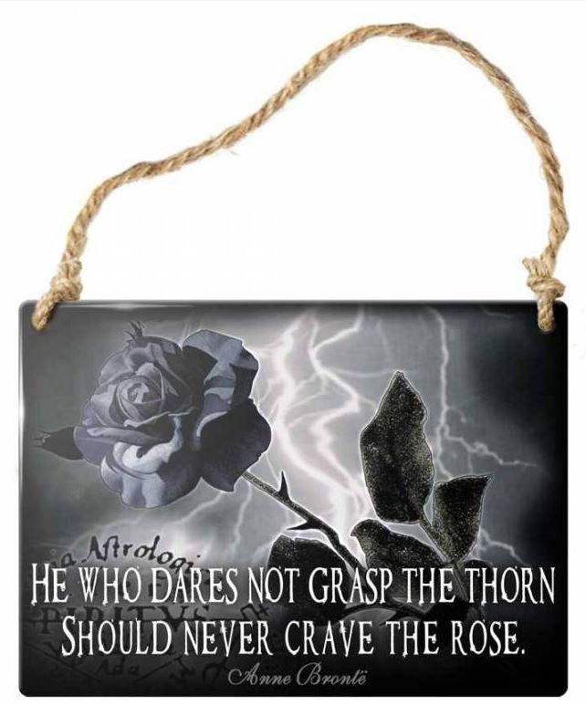 Placuta Metalica Decorativa Pt. Perete (6.5x9cm) ALHS12  Never Crave The Rose
