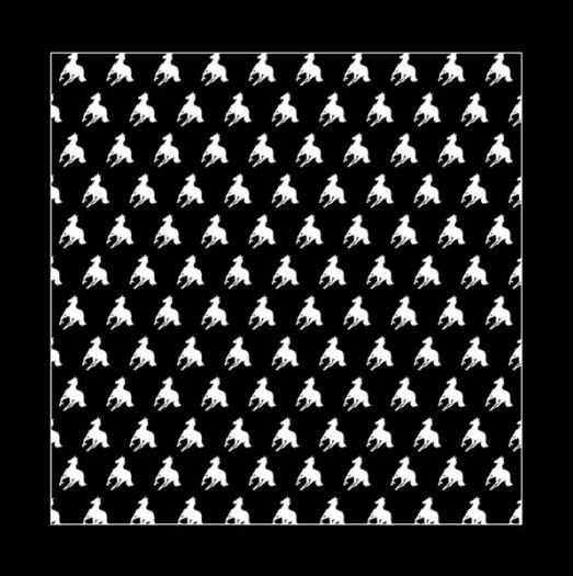 Bandana Deftones White Pony