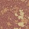 Fantasy Eye Shadow Jupiter