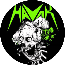 Insigna 2,5 cm HAVOK Skull   (HBG)