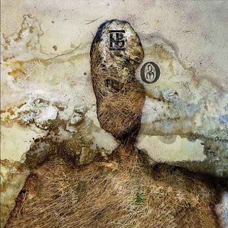 NEGURA BUNGET - Om (10th Anniversary Edition)