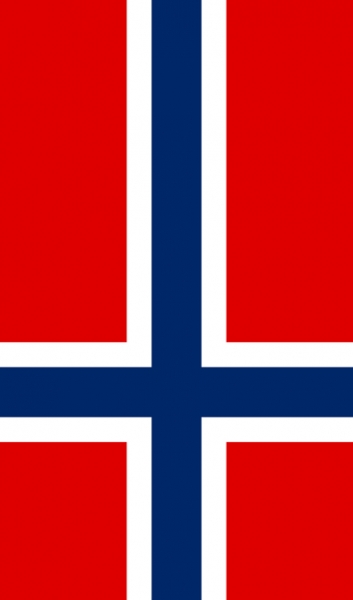 Steag Norvegia (VKG)
